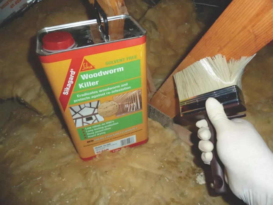 Decorating * | Sika Sikagard Woodworm Killer Clear 5Ltr