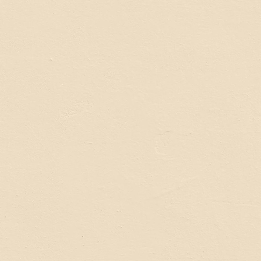 Decorating * | Lickpro Matt White Bs 08 C 31 Emulsion Paint 5Ltr