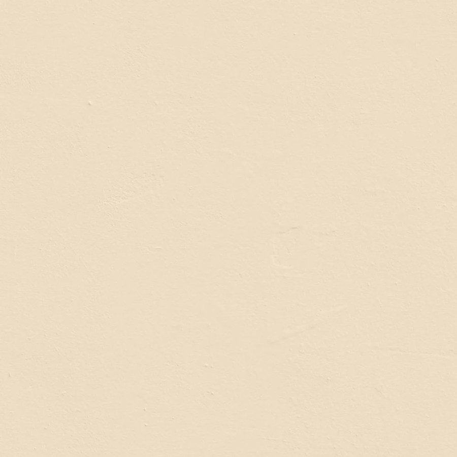 Decorating * | Lickpro Matt White Bs 08 C 31 Emulsion Paint 2.5Ltr