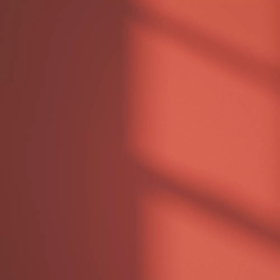 Decorating * | Lickpro Matt Red 02 Emulsion Paint 5Ltr